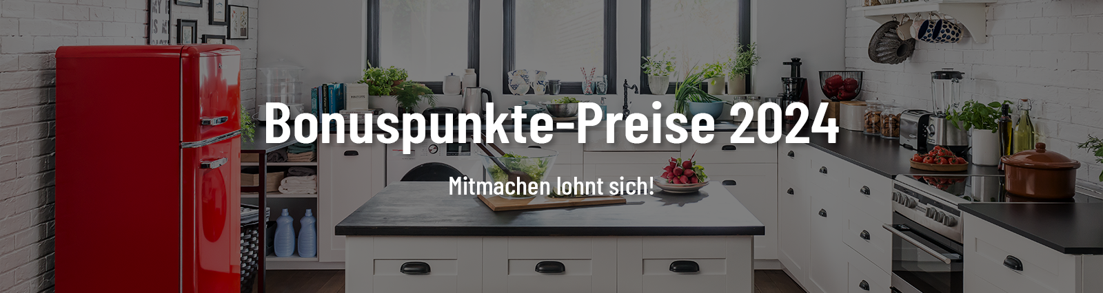 Amica_bonuspunkte-2-2024-aktionsseite-header