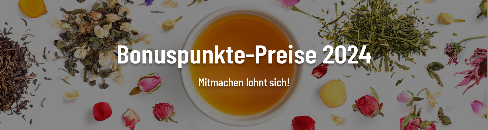 BP_2.HJ 2024_TeeGschwendner