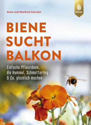 Buchcover Biene sucht Balkon