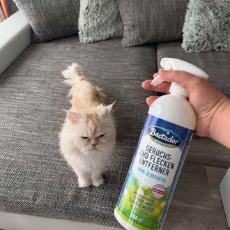 Bactador® Geruchs- und Fleckenentferner Spray