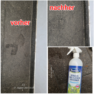  Bactador® Geruchs- und Fleckenentferner Spray 