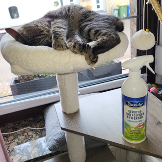  Bactador® Geruchs- und Fleckenentferner Spray 