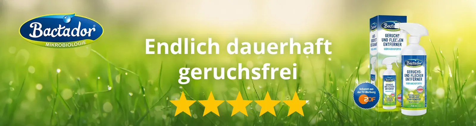 Bactador Testergebnis